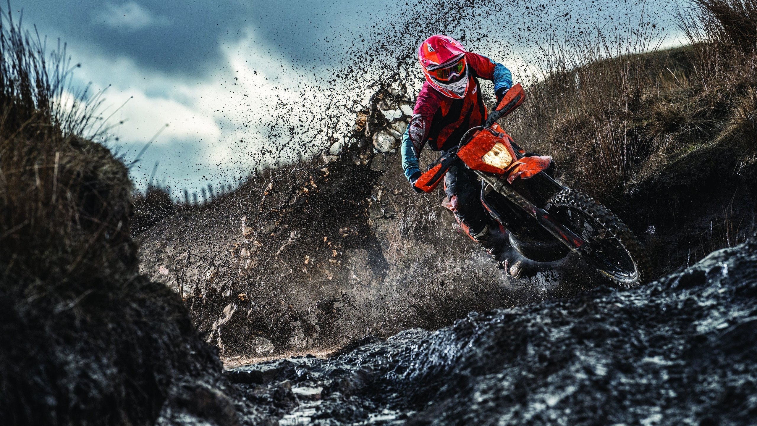 “极速王者：谁能问鼎赛季冠军？”，极速王者在哪